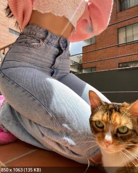 Catsara  Pack