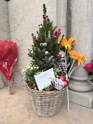 ���������. ( ����� 4.)