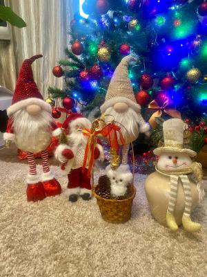 ��� �������� - ����������� ������ ! ( ���. ����� 2.)