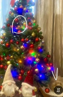 ��� �������� - ����������� ������ ! ( ���. ����� 2.)