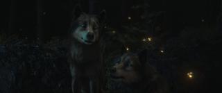 �������� �������� / Campamento Garra de Oso (2025/WEB-DL/WEB-DLRip)