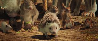 �������� �������� / Campamento Garra de Oso (2025/WEB-DL/WEB-DLRip)