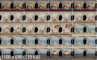 VirtualRealPorn - Lauren Phillips  Deep Cleaning (2K/1080p/2.56 GB)