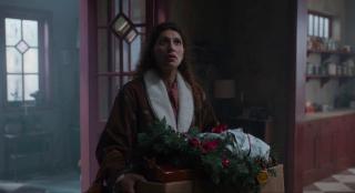 ������� ��������� / Hvis ingen går i fella (2025/WEB-DL/WEB-DLRip)