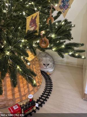 ��� �������� - ����������� ������ ! ( ���. ����� 2.)