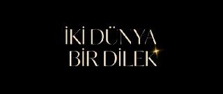 ��� ����, ���� ������� / Iki Dunya Bir Dilek / Two Worlds, One Wish (2025/WEB-DL/WEB-DLRip)