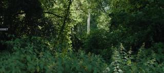 Смельчаки (2024)