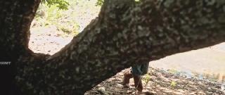 Луис Гонзага (2025)