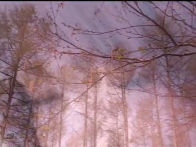 [mosaic_reduce_version] PXV-056