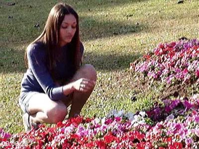 [Image: c20b2af6238f88439f60926061dc7336.jpeg]