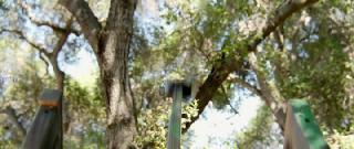 Без связи (2024)