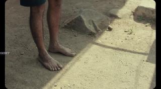 Опунция (2025)