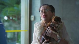 Мертвые всегда возвращаются (2025)