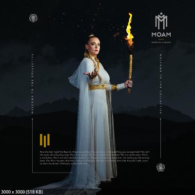 Memory Of A Melody - Welcome To The Collective (2026)