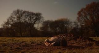 ���������� ������ / Die Before You Die (2024/WEB-DL/WEB-DLRip)