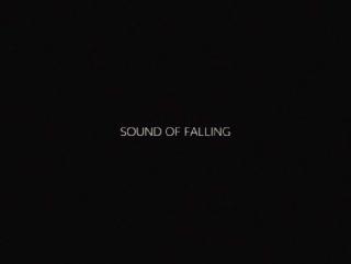 ���� ������� / In die Sonne schauen / Sound of Falling (2025/WEB-DL/WEB-DLRip)