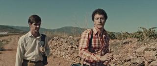 Кариньена, вино с моря (2025)