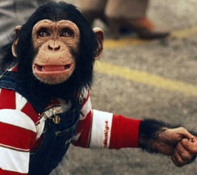 ��� ������! ( ����� 4.)