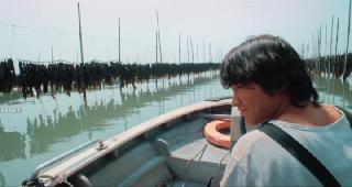 После тайфуна (2025)