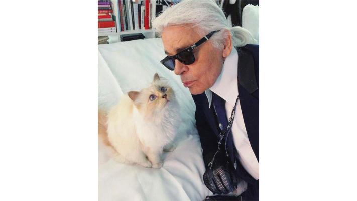 �� -������������ ���������, ����� ��� � �����!!! ��������������!!!