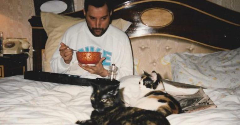 �� -������������ ���������, ����� ��� � �����!!! ��������������!!!