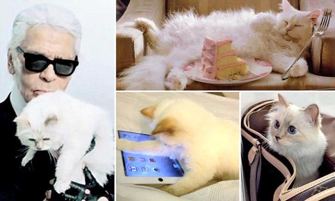 �� -������������ ���������, ����� ��� � �����!!! ��������������!!!