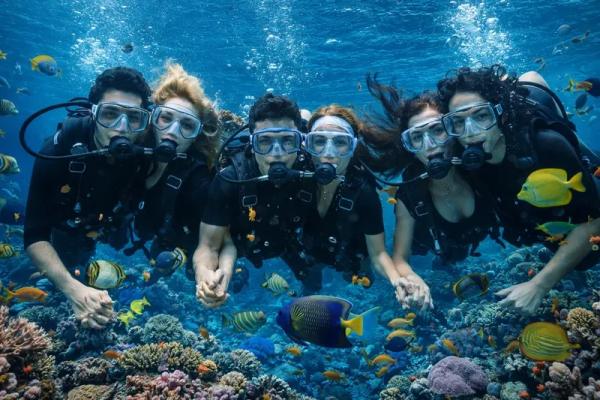 ��� �������� - ����������� ������ ! ( ���. ����� 2.)