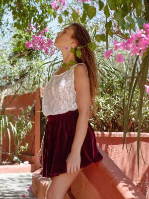 [Image: _347a52df00dbe9ea59bc08ce33a22faf.jpeg]