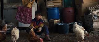 Диджей Ахмет (2025)