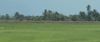 Близнецы (2024)