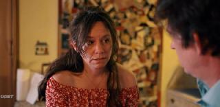 Эффект попутчика (2025)