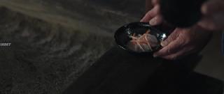 Самурай-детектив Онихей: Кровь за Кровь (2024)