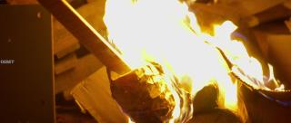 Западня (2026)