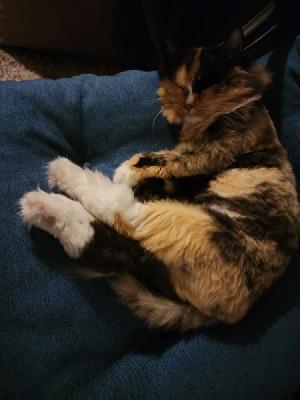 ��� �������� - ����������� ������ ! ( ���. ����� 2.)