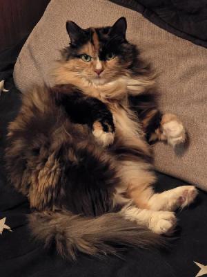 ��� �������� - ����������� ������ ! ( ���. ����� 2.)