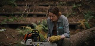 Арборист (2025)