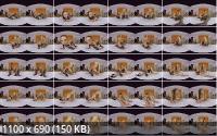 CzechVRFetish/CzechVR - Fetish 045 - Kristy Black, Sweet Cat (2K/1440p/2.06 GB)